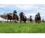  Carrera: P.Agustín Barbón Caballo: Variyni Monta: D.Sikorova